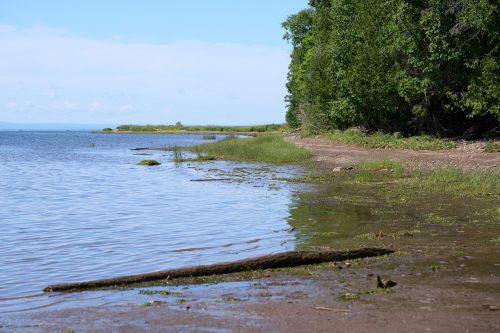Milieu naturel,Été,Saison,Rivière,Eau,Cascapédia,Baie-des-Chaleurs,Région,MRC Avignon,MRC Bonaventure,Jour,Temps